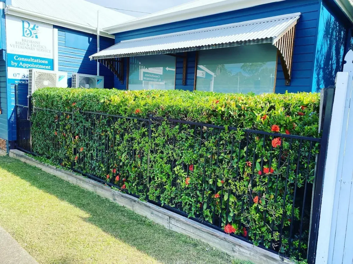 Freshly mown front lawn with tidy edges in Labrador