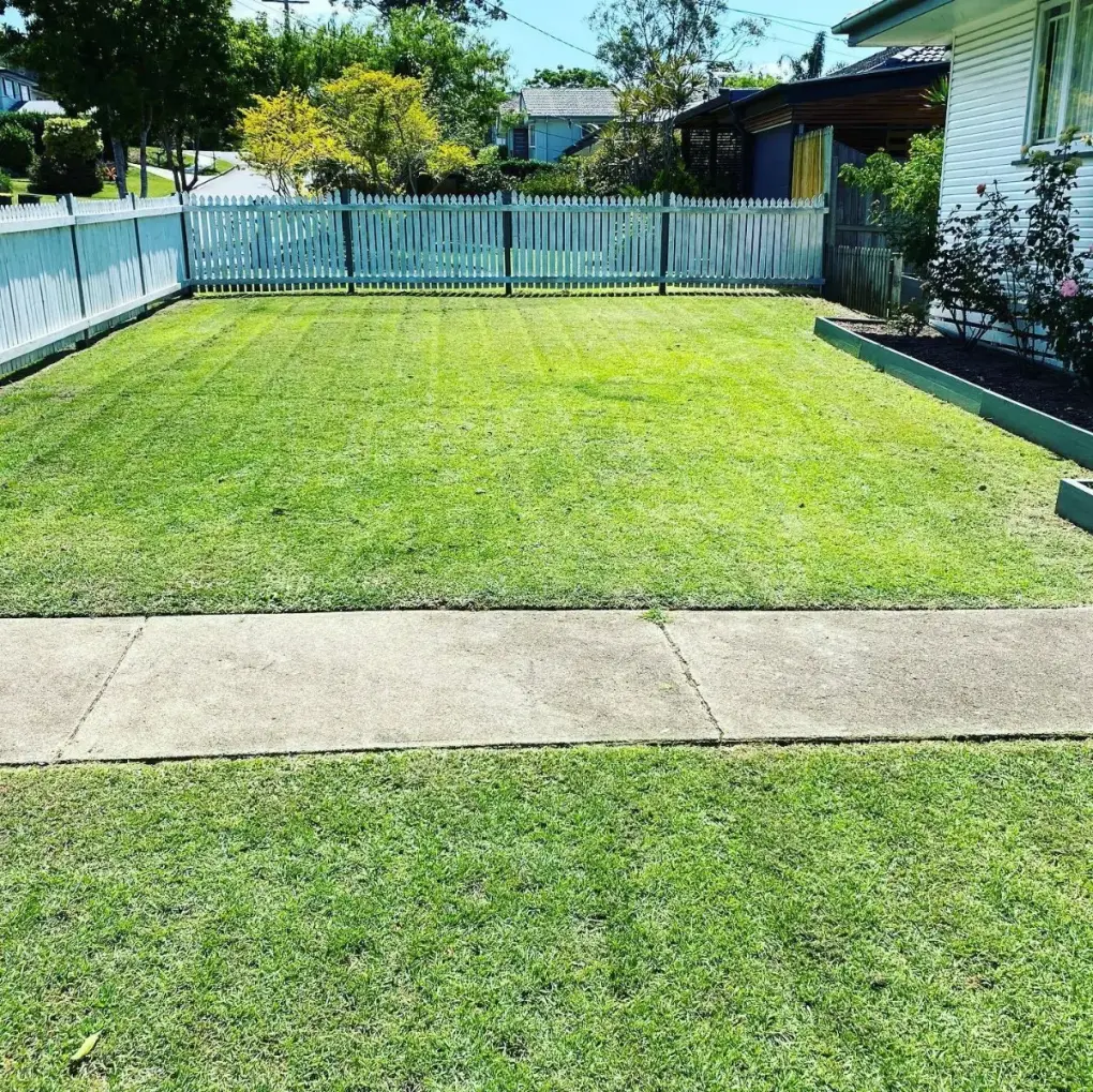 Lawn mown and vertically edged along a garden path in Mansfield
